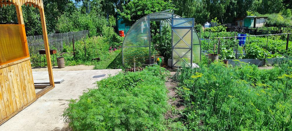 Продам дачу в садовом обществе “Тихая Роща”