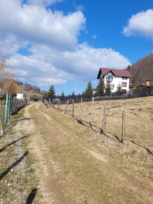 teren de vanzare la munte
