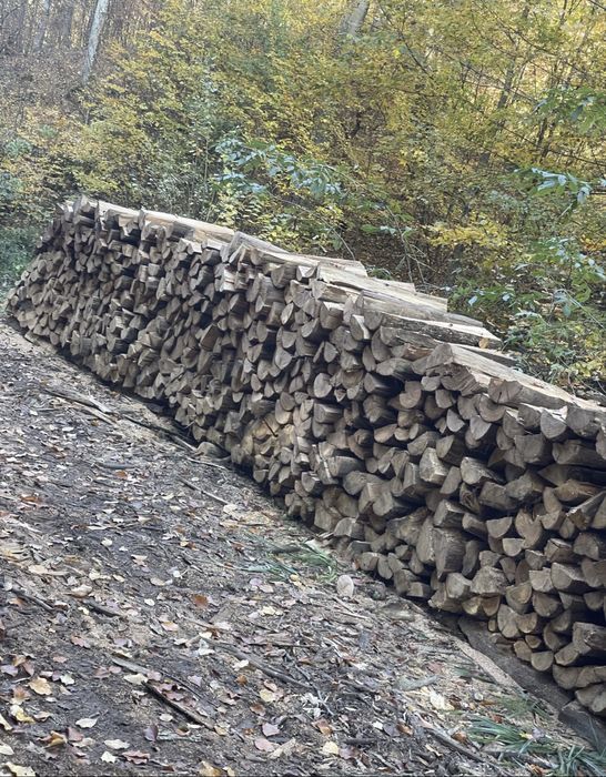 Lemne de foc de cea mai bună calitate la cele mai mici prețurii‼️