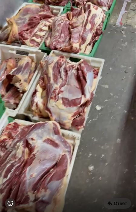 Мясо  мякоть без костей