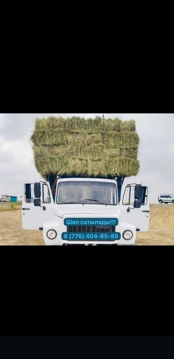 Сено шоп арзан багада 700тг
