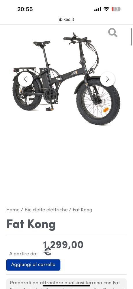 Bicicleta electrica FAT KONG