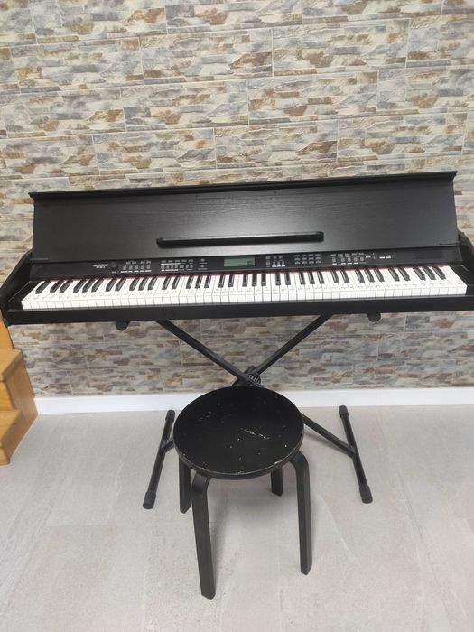 Orgă electrică Funky Dp 88 II