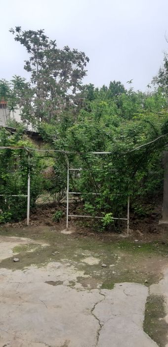 Продается срочно земляной участок