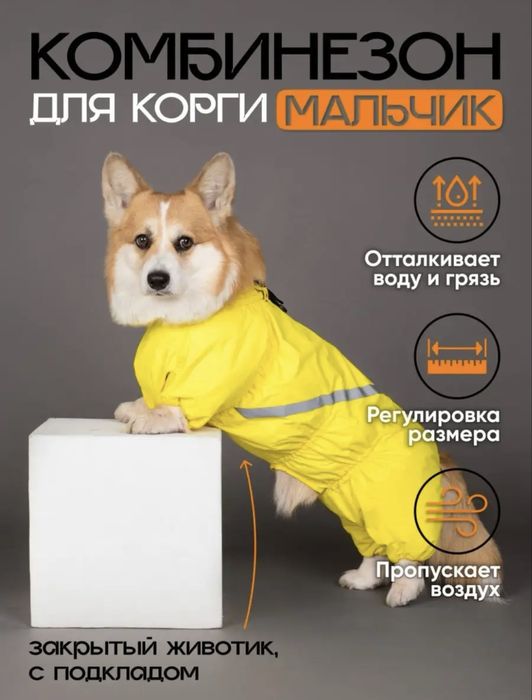 Комбинезон-дождевик для собак (m) для кобеля