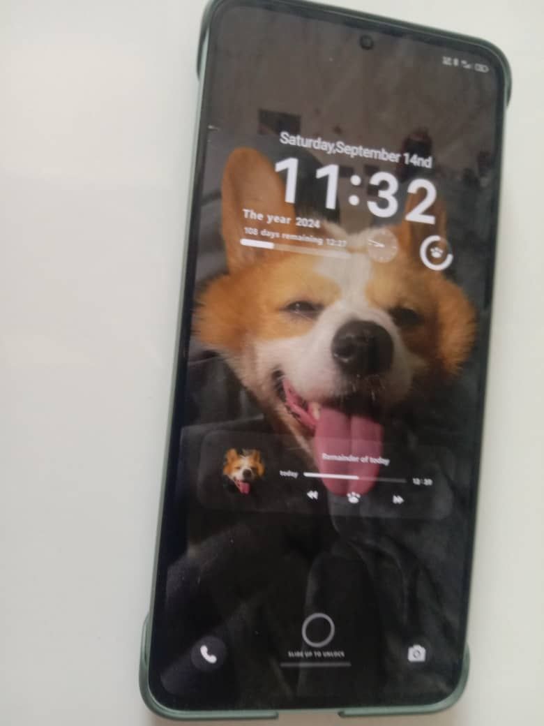 Xiaomi 13T 16_256g 1-esim 2-sim