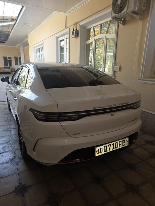 BVD чазор гибрид