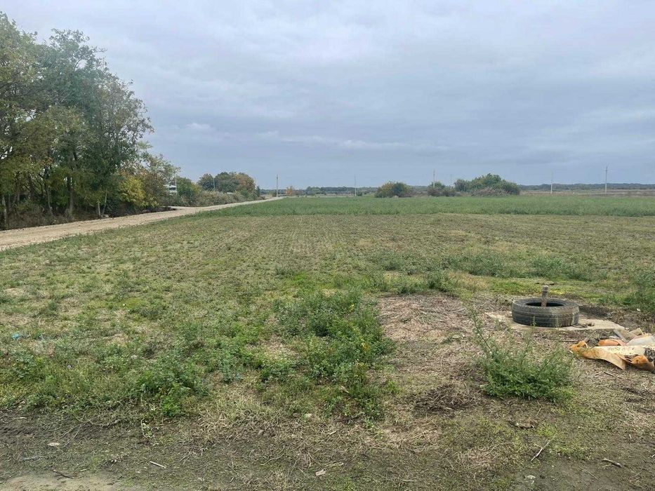 Teren intravilan 3.200 mp – Coșereni, Ialomița – deschidere la DJ201