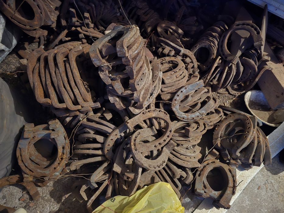 Подкови конски и магарешки