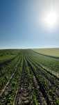 Teren extravilan 9000 mp pe deal, langa iaz – Stăuceni, Botoșani