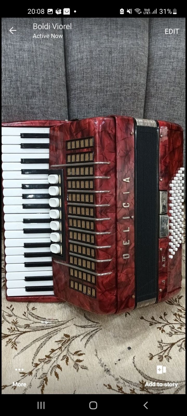 Acordeon DELICIA