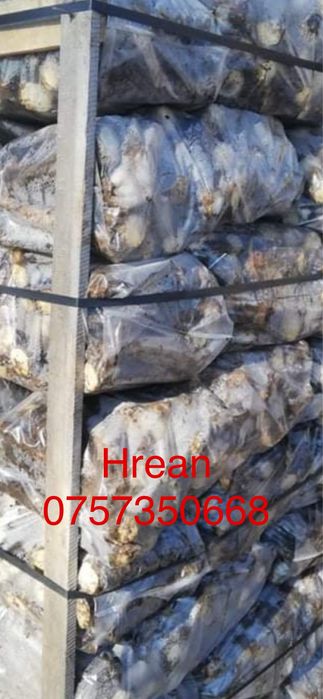 Hrean romanesc si de cultura