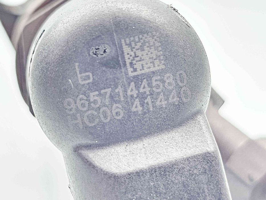 Injector  Citroen C5 (III) [Fabr 2008-2017] 9657144580 2.0 TDCI G6DG 1