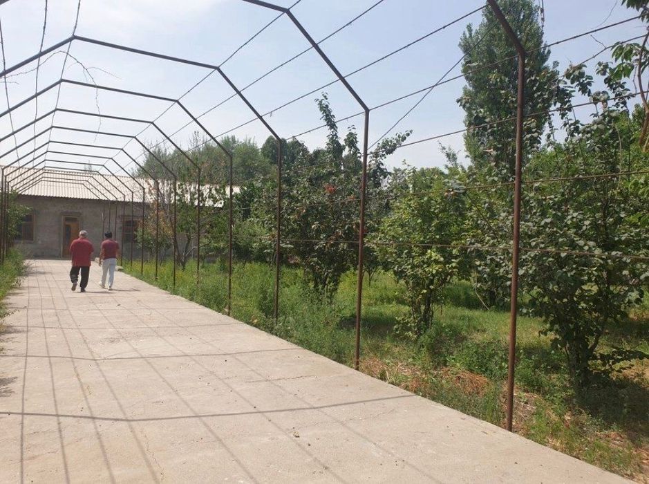 Участок 10 соток.