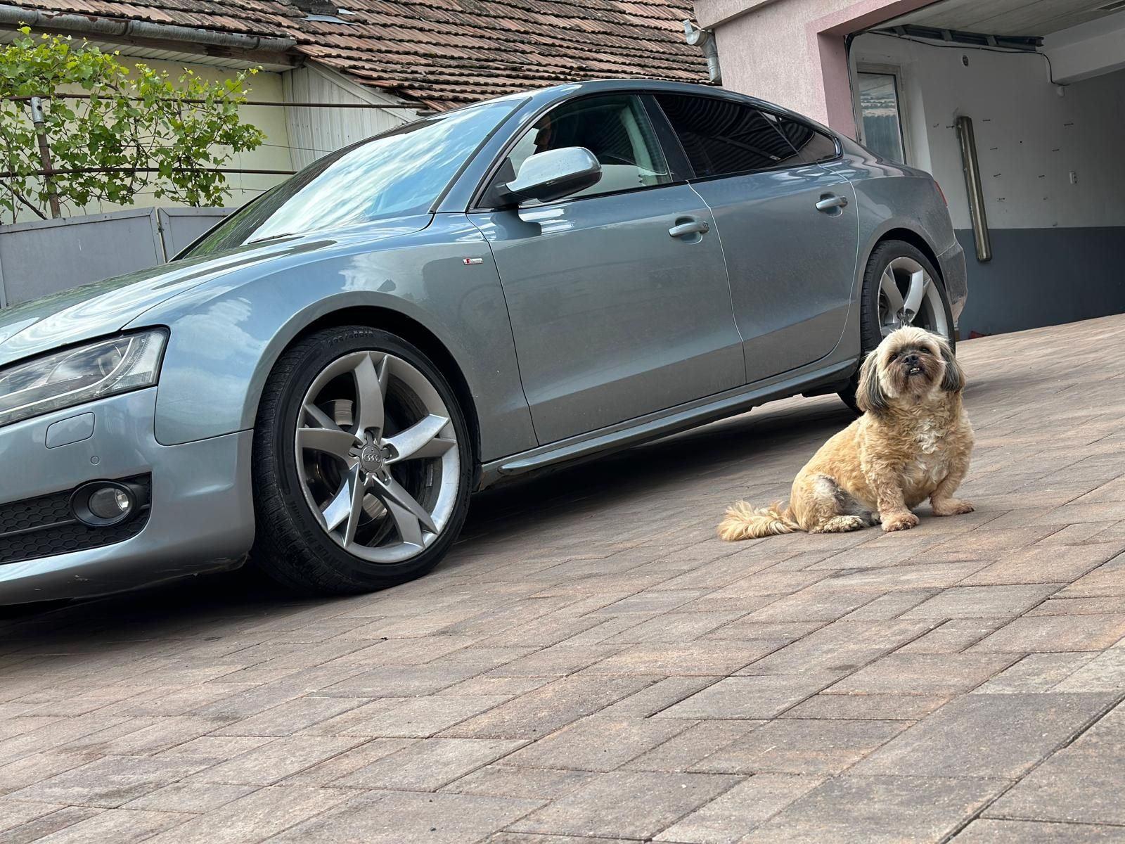 Audi A5 Quatro 3 L Sline