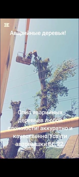 Пилим аварийные деревья!