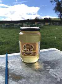 Producator vand miere si produse apicole  pentru imunitate