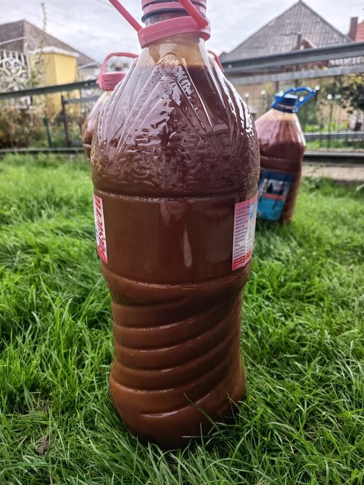 Pastă de măceșe .