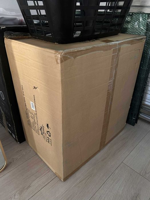 Vand ansamblu pisici