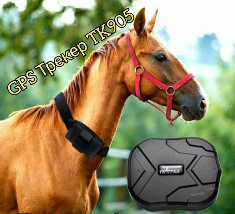 GPS треккер TK905 для лошадей коров баранов машин автомобилей