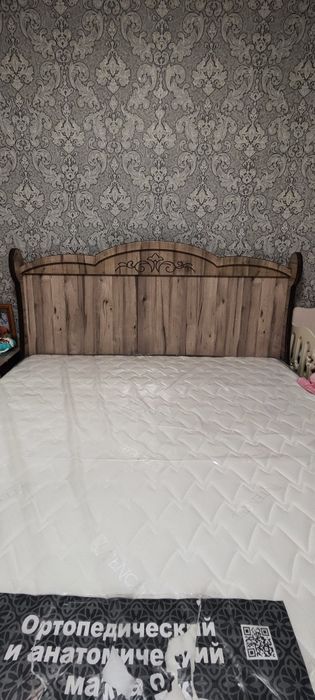 Kravat. Tumba. Shfaner.Tryumo