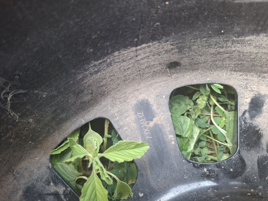 Vand jante cu cauciucuri de pe 320d