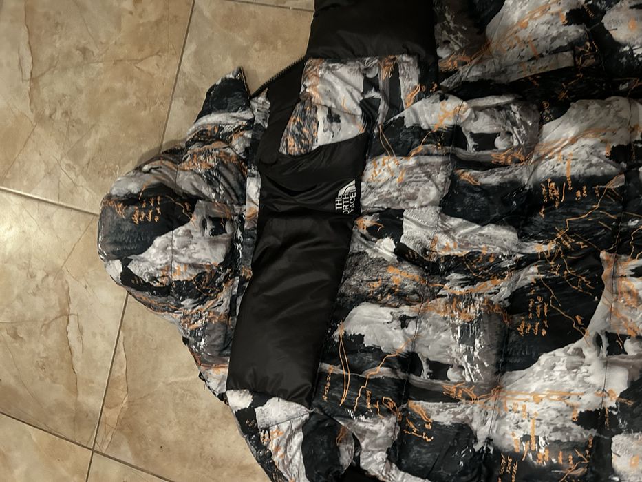 Geaca the north face