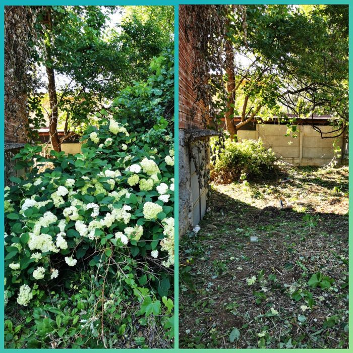 Почистване на дворове