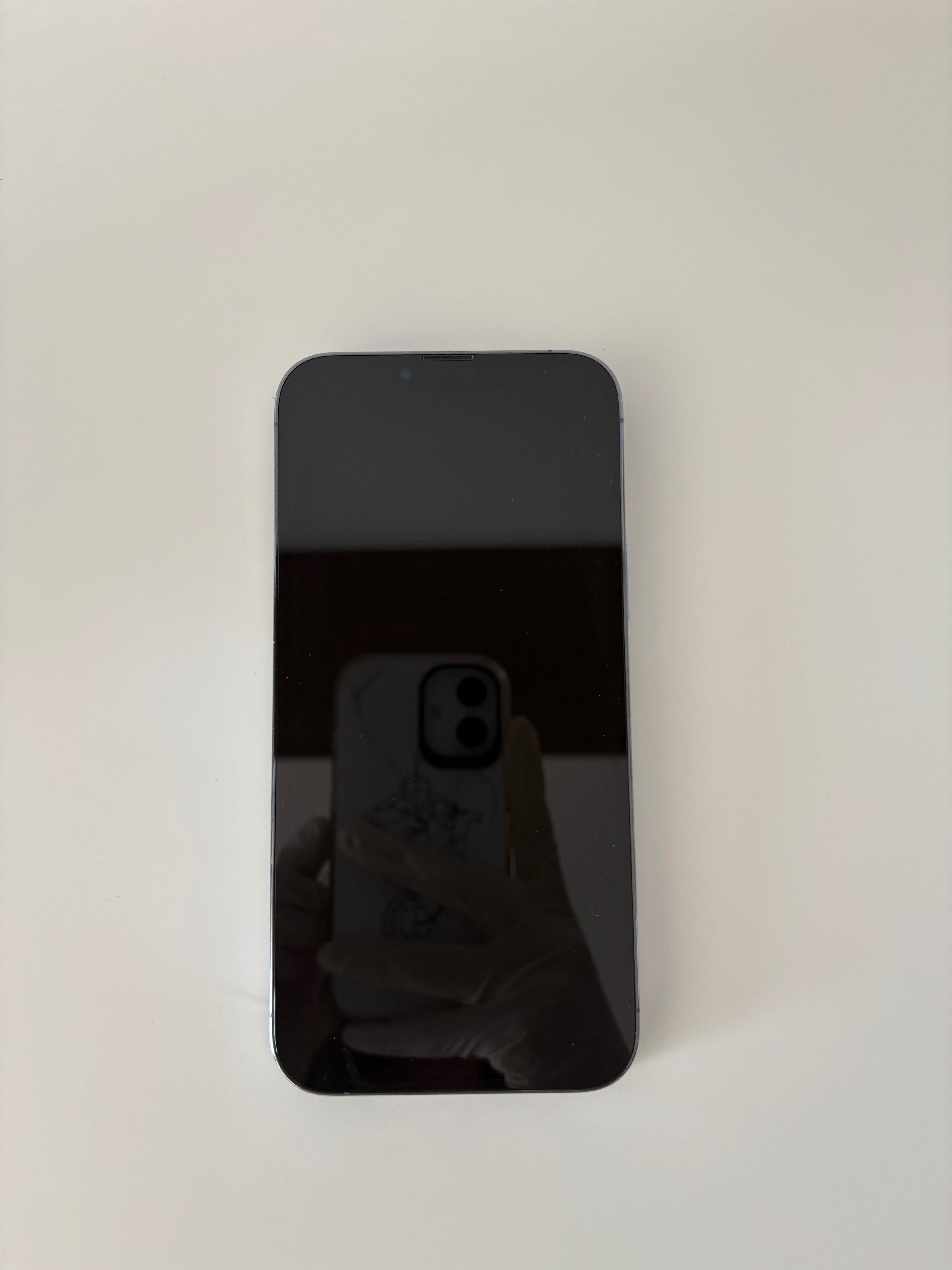 iPhone 13 Pro MAX Sierra Blue