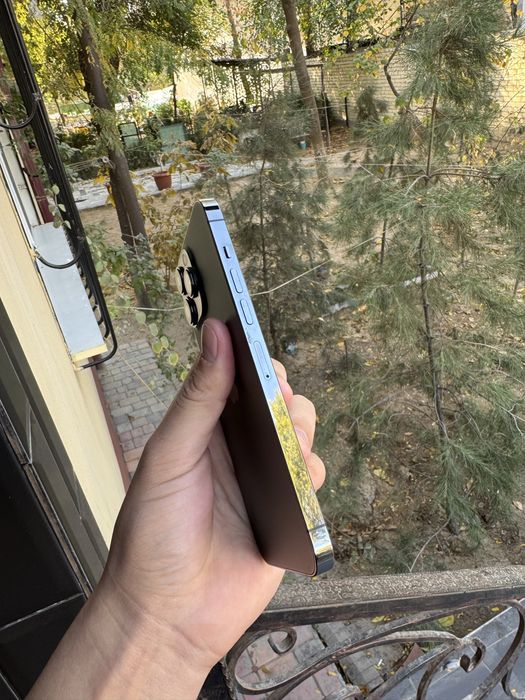 iphone 13 Pro Max 256 Gb