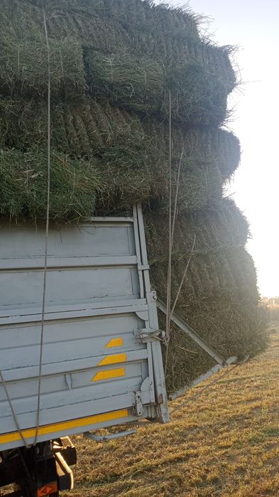 Люцерна Клевер Высший Чистый