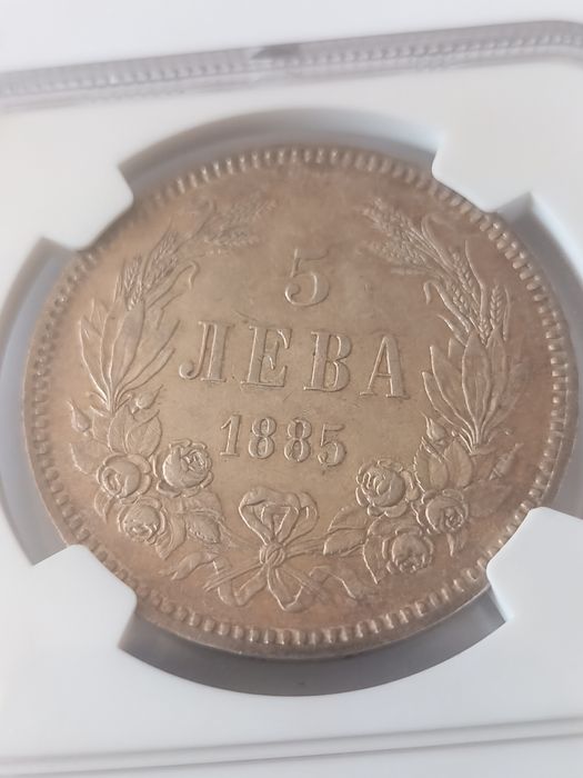 Петолевка 1885 година