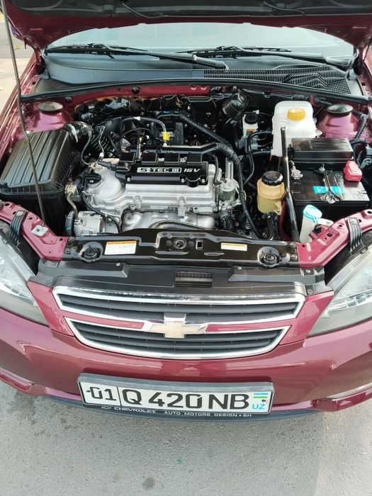 Ухоженная GENTRA 2015