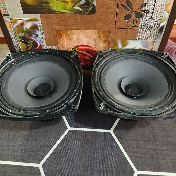 Продам советские динамики ломо