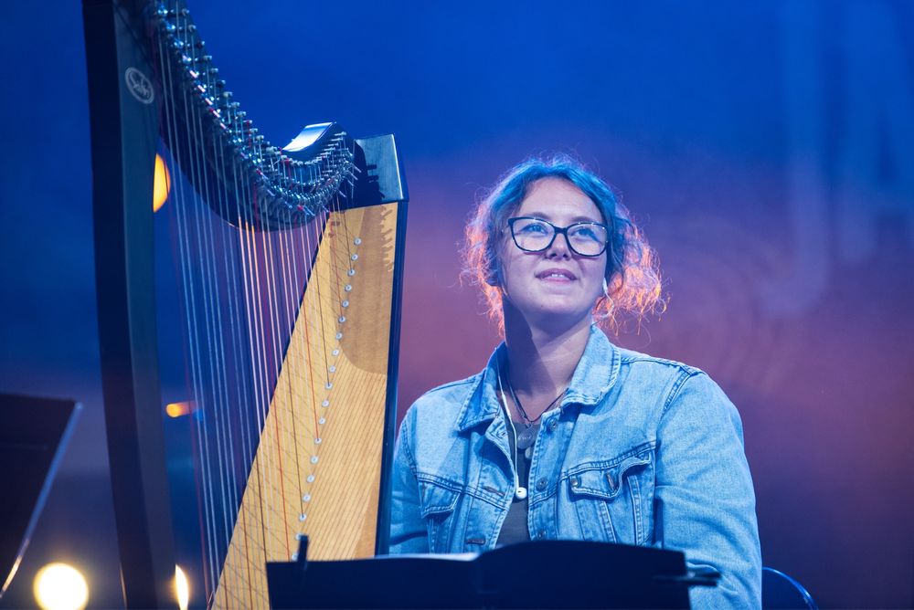 Meditații/lecții harpă/teoria muzicii. Profesor harpă/teoria muzicii.