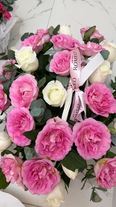 Продам цветы. Город Астана пишите на ватсапп