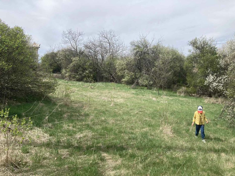 Продава се Парцел в с. Бабица, Област Перник - 1260 кв.м за 12 €/кв.м - Снимка #5