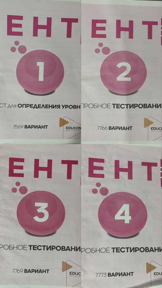 Пробники ЕНТ, Предметно-повторный тест, 10 класс, Educon