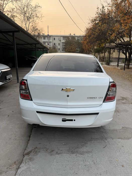 Cobalt Midnight MCM plus 25/26 Yengi