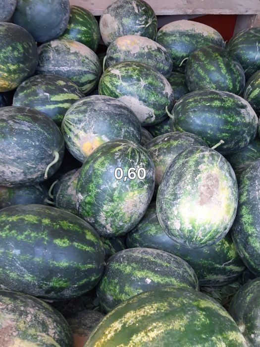 Vand pepeni in jirlau