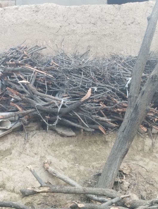 Қуруқ ўтин сотилади