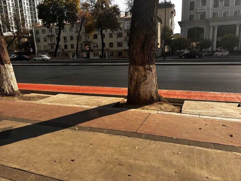 Сдаю в Аренда 64м2  Яккасарай 1 Линия  Шота Руставели