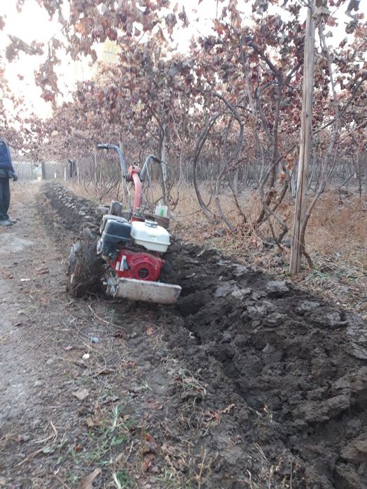 Асака бойлаб  Мотоблокда  Омоч блан  кичик йерларгахам кирамиз 50.минг