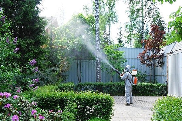 Садовник Пакос травы триммерим ободонлаштириш благоустройство.