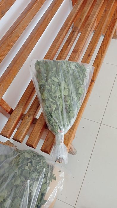 Берёзовые веники от заготовщики, сезон 2025, качество, опт и розница