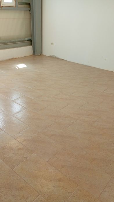 Curățenie generală în apartamente sau gasa șters praful tot