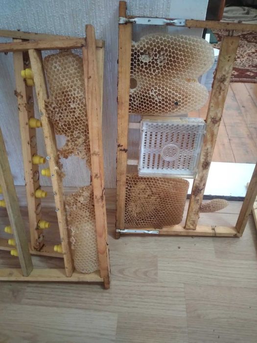 Продавам магазини и кошери втора ръка 15лв магазин