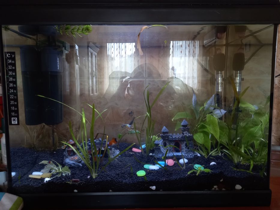 Аквариум 60 литра