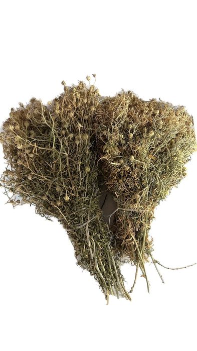 Адыраспан + Доставка