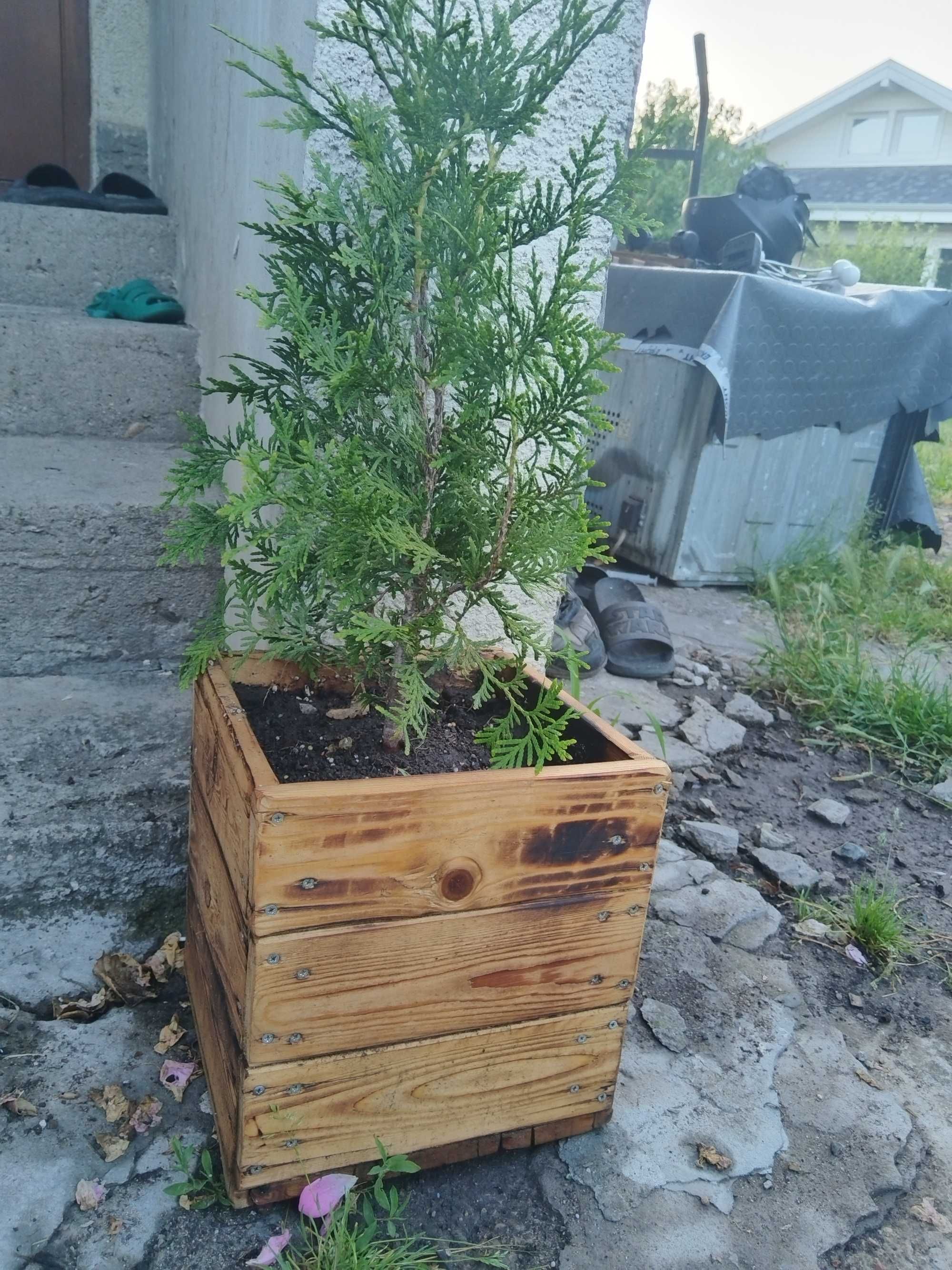 Дървени кашпи всякакъв размер